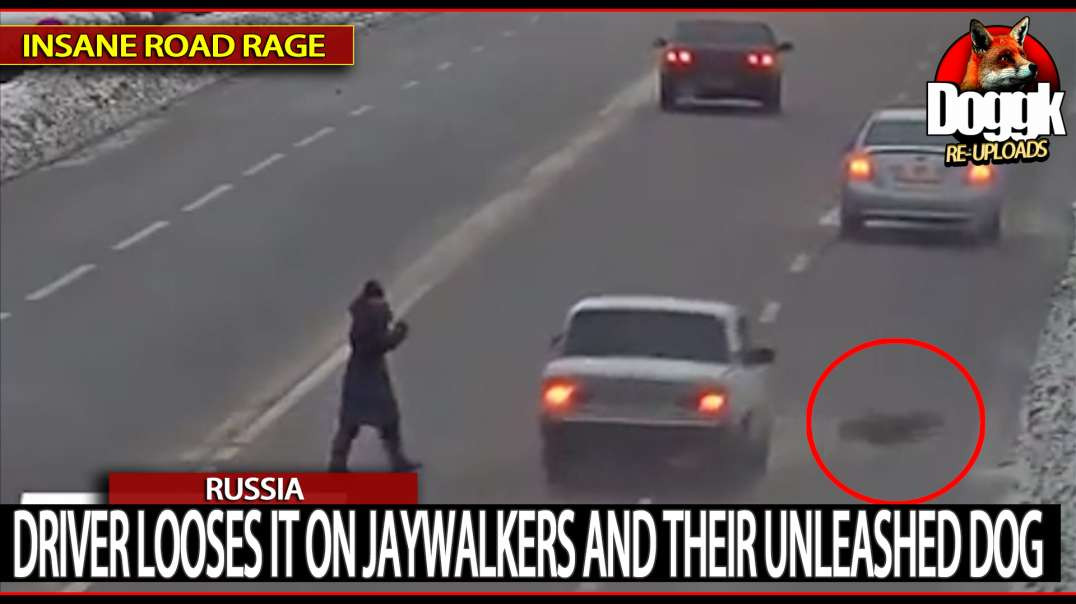 DRIVER LOOSES IT ON JAYWALKERS and THEIR UNLEASHED DOG... (RUSSIA)