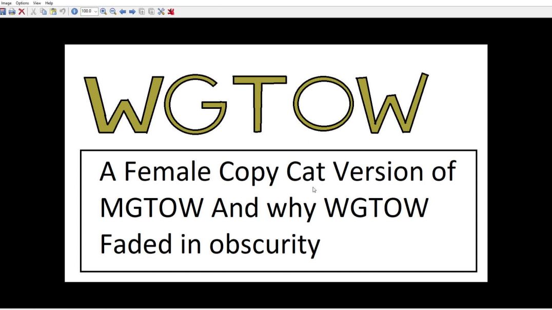 MGTOW Women make their Own Chamaleon like Copycat Version of MGTOW Aka WGTOW