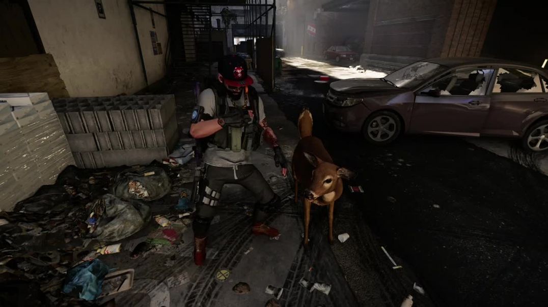 The Division 2 DEER DANCE