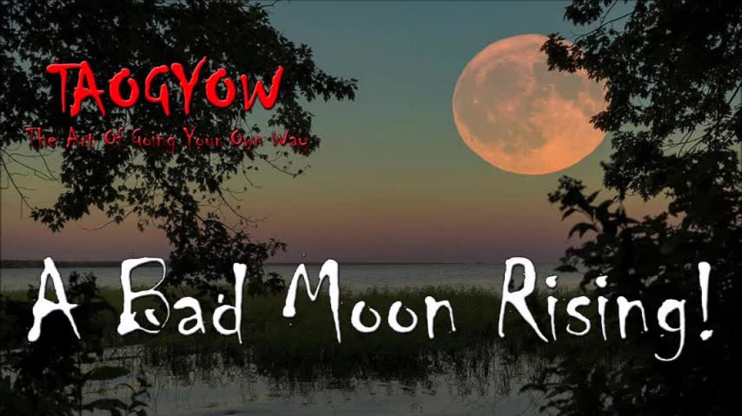 TAOGYOW - A Bad Moon Rising!