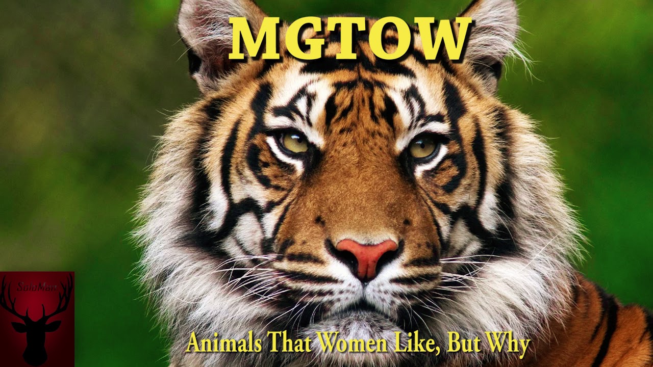 MGTOW Animals That Women Like, But Why