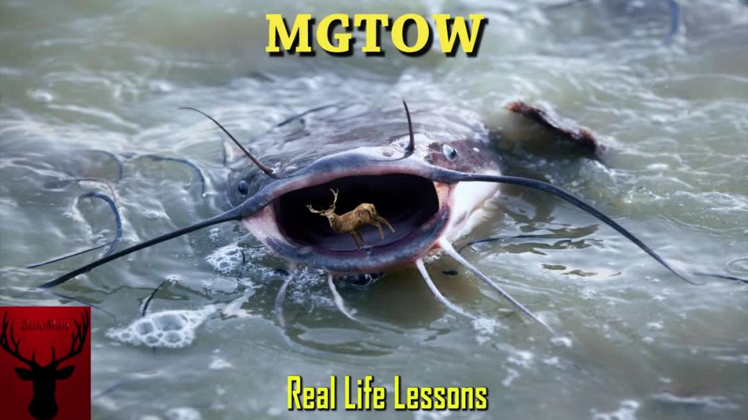 MGTOW Real Life Lessons