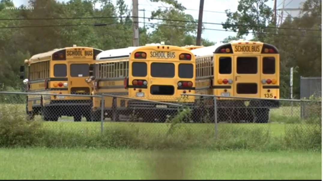 9 -Year- Old Louisiana boy suspended After BB gun spotted his house