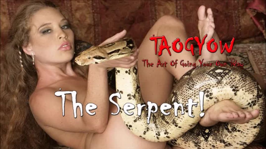 TAOGYOW - The Serpent!