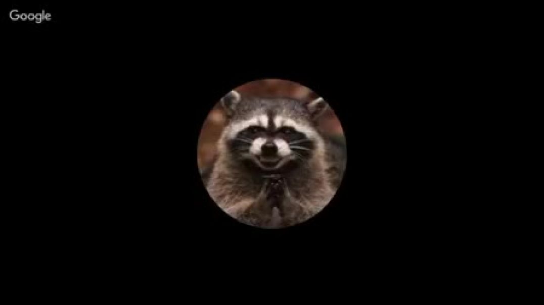 Racooning Racoon O quê é um homem alfa, e qual a atitude ele deve tomar contra as leis do estado?