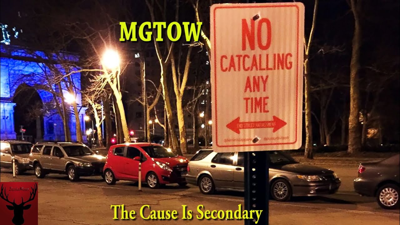 MGTOW The Cause Is Secondary