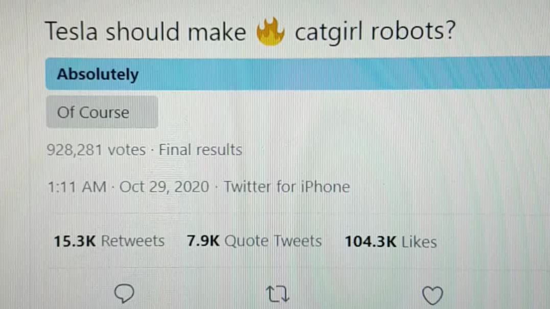 Elon Musk will make sexbots