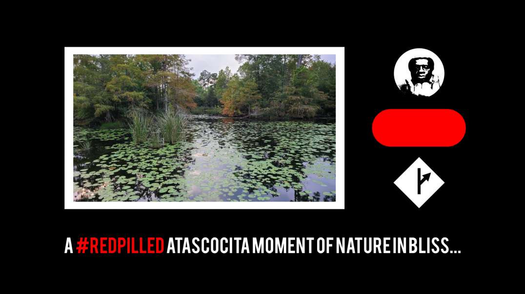 #MGTOW--A "Red-Pilled" Atascocita Moment Of Hiking...