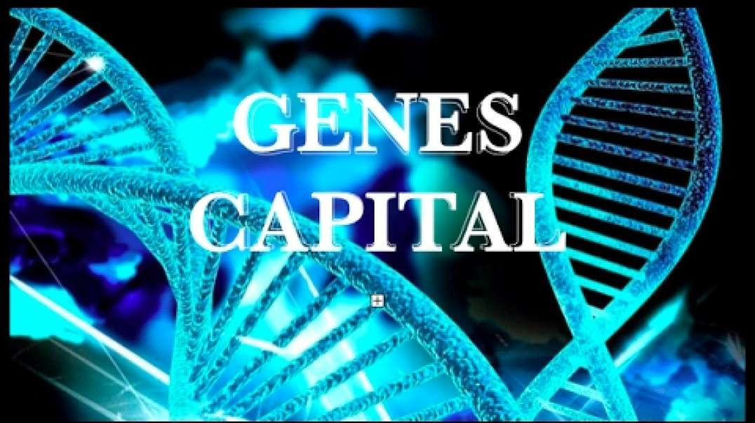 Ancap: Genes=dinero