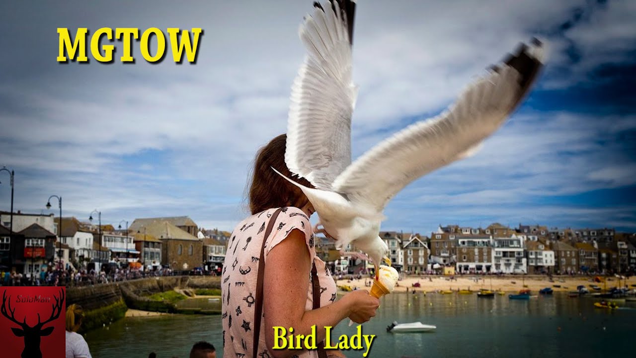 MGTOW Bird Lady