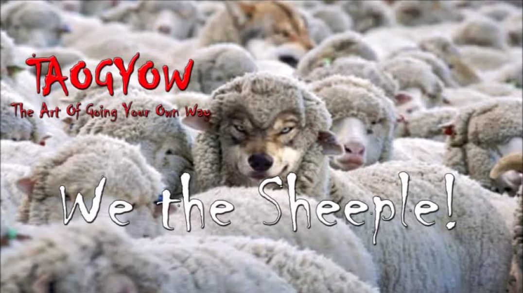 TAOGYOW - We the Sheeple!