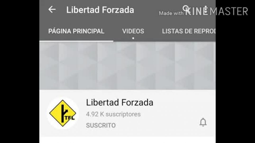 Entrevista a Libertad Forzada MGTOW-TFL