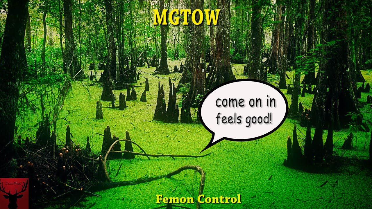 MGTOW Femon Control