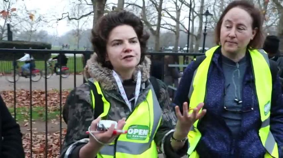 London protest 28 11 2020 - women speaking about freedom and common law (where are the young ones)