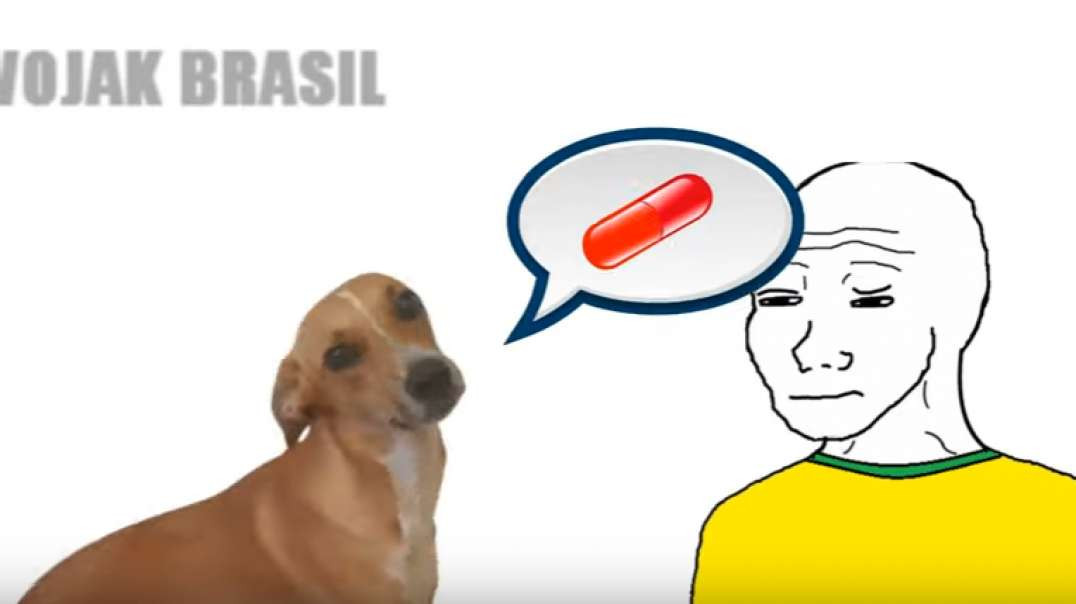 WOJAK - ESTILO CACHORRO - RACIONAIS MC's