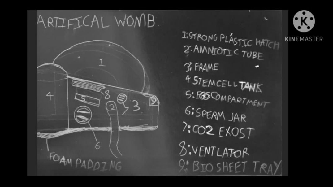 Artificial Womb Design Concept