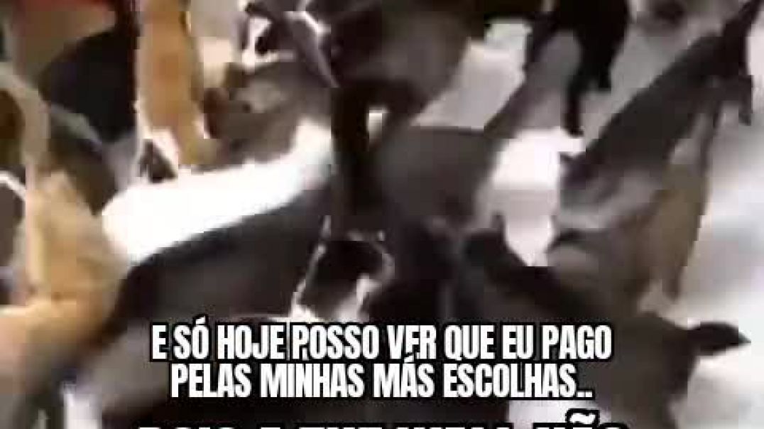 Cedo ou tarde a conta vem montada em gatos!!!