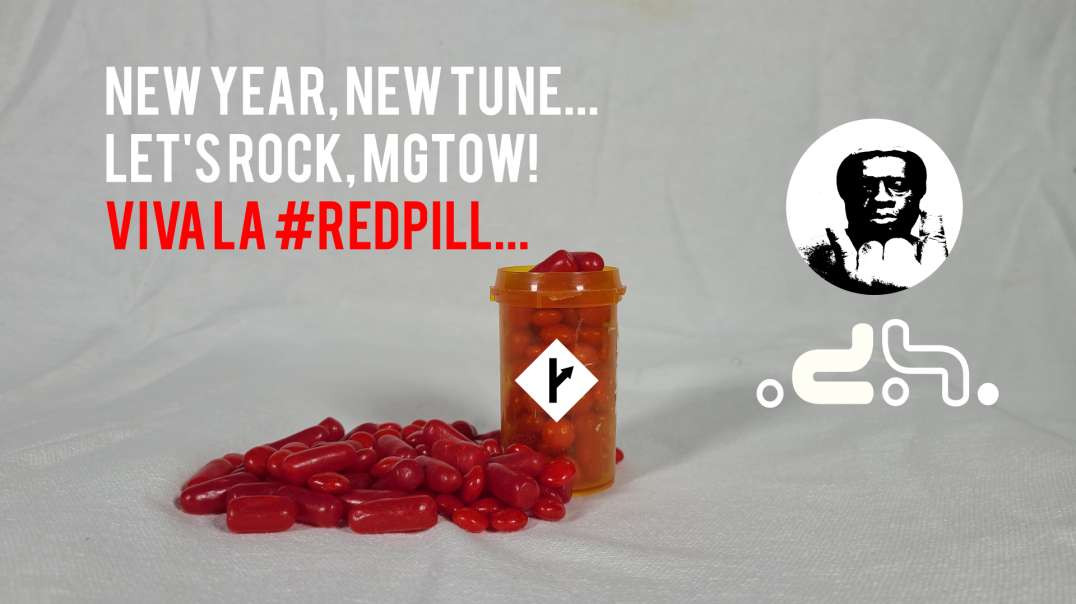 MGTOW: New Year, New 'Red-Pilled' Tune...#HappyNewYear #LMMS