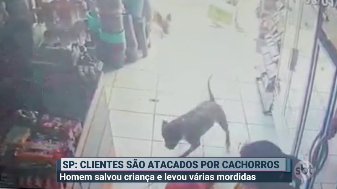 MACHO ESCROTO DÁ A VIDA PARA SALVAR CRIANÇA DE FEROZ ATAQUE DE PITBULL E PASTOR ALEMÃO !  MILAGROSAMENTE ESCAPA DA MORTE