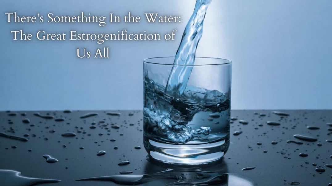 There's Something in the Water: The Estrogenification of Us All