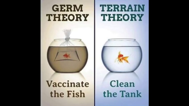 The Germ Theory & The Virus Theory... (Dr. Lorraine Day)