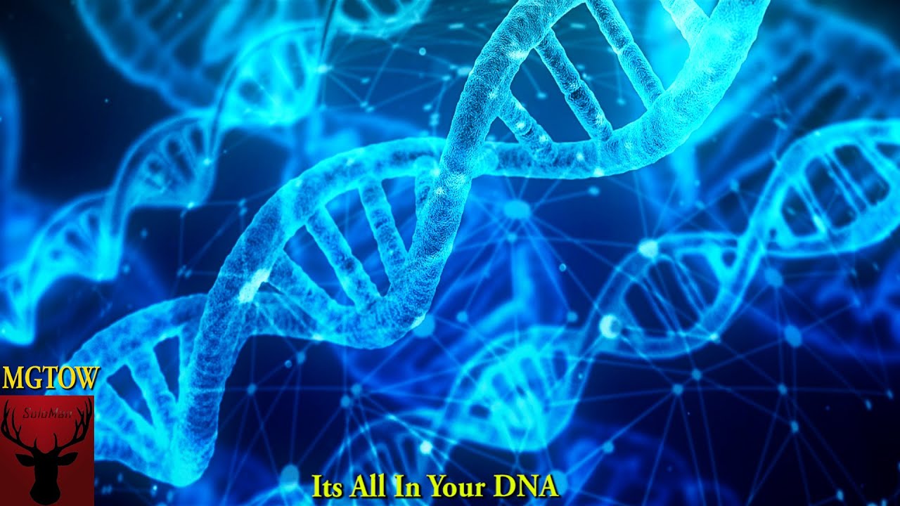 MGTOW Its All In Your DNA