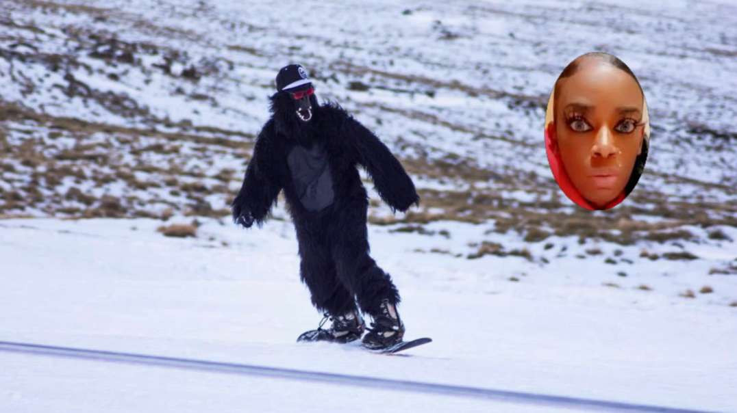 Gorilla Snowboarders Go Pro