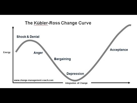 MGTOW Master Series #24 Stages of Grief Kubler/Ross Model Stage 5 Acceptance