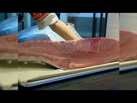 Japan nuclear accident harms Pacific fish LOW LEVELS MY ASS.  Read comments.