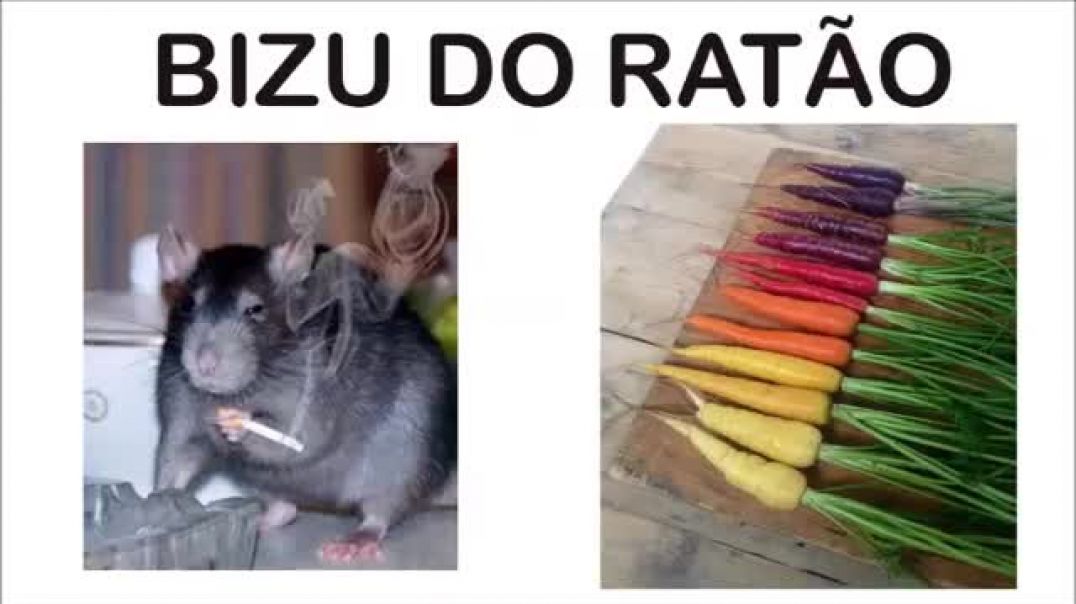 Bizu do Ratão 03   PANCS + Geração Z