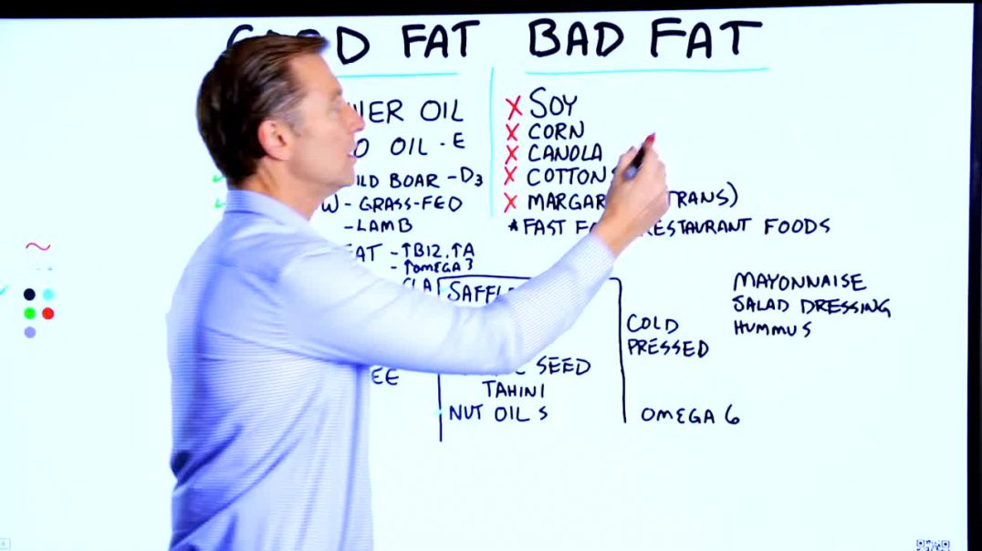 Understand Good Fat vs