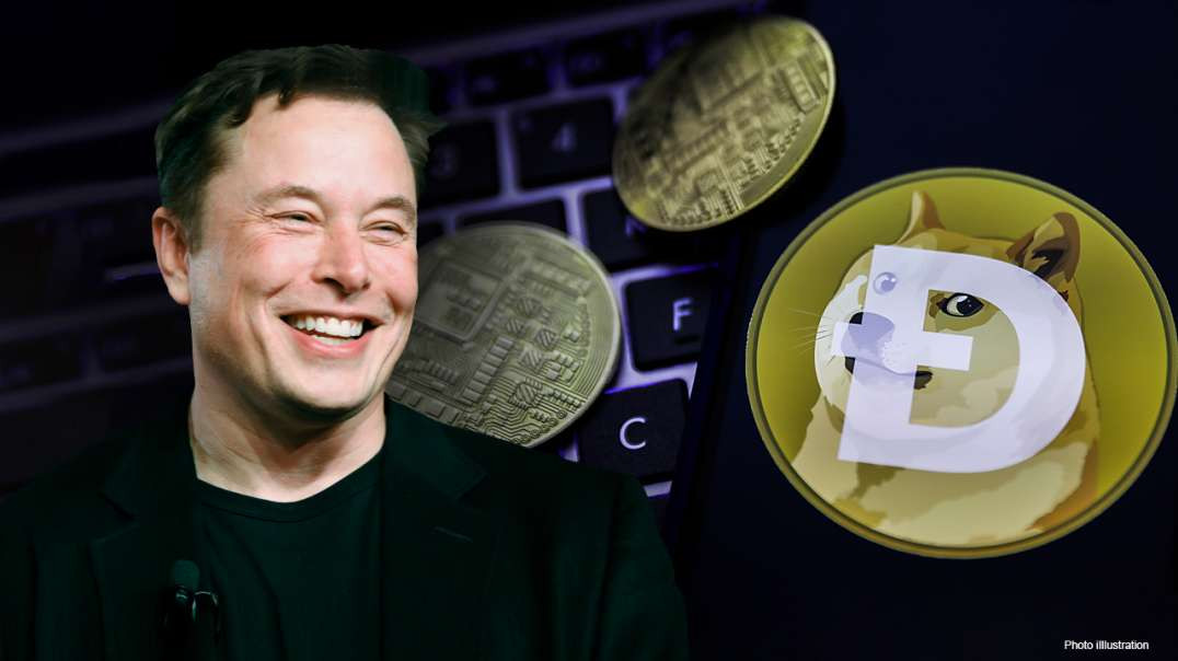 I Just Bought Dogecoin & Elon Musk Is A Low IQ Sperg