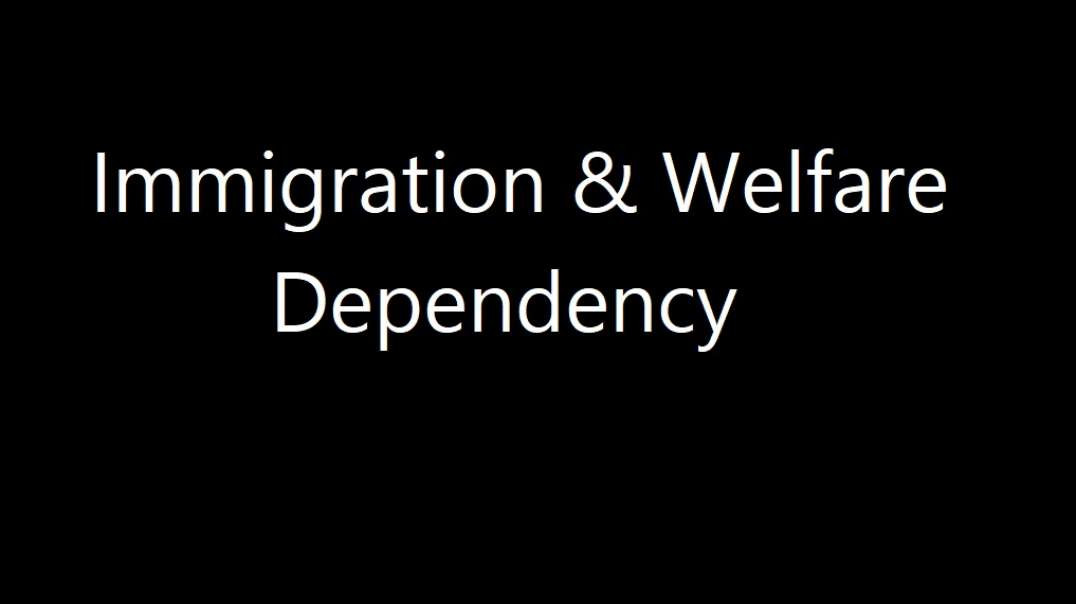 Immigration & Welfare Dependency