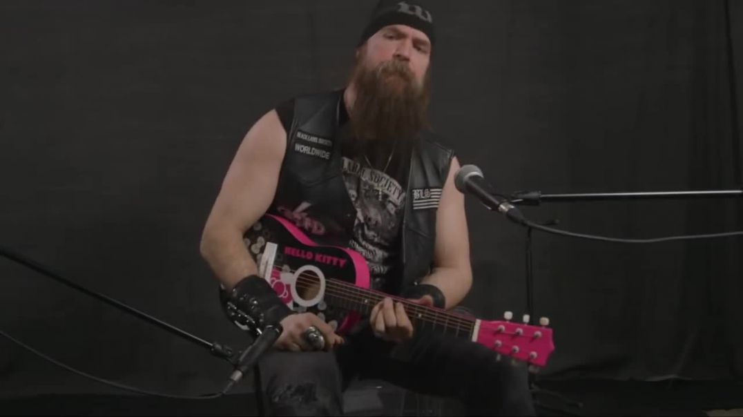 zakk wylde guitar