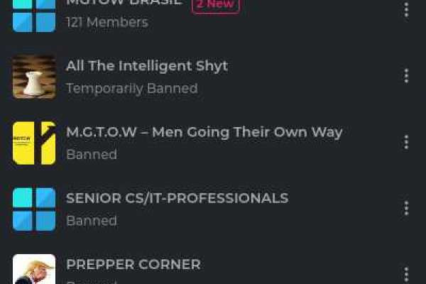Faggot T Hansen gets banned from all the channels.