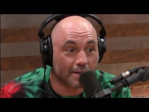 Joe Rogan on Bullshit Jobs