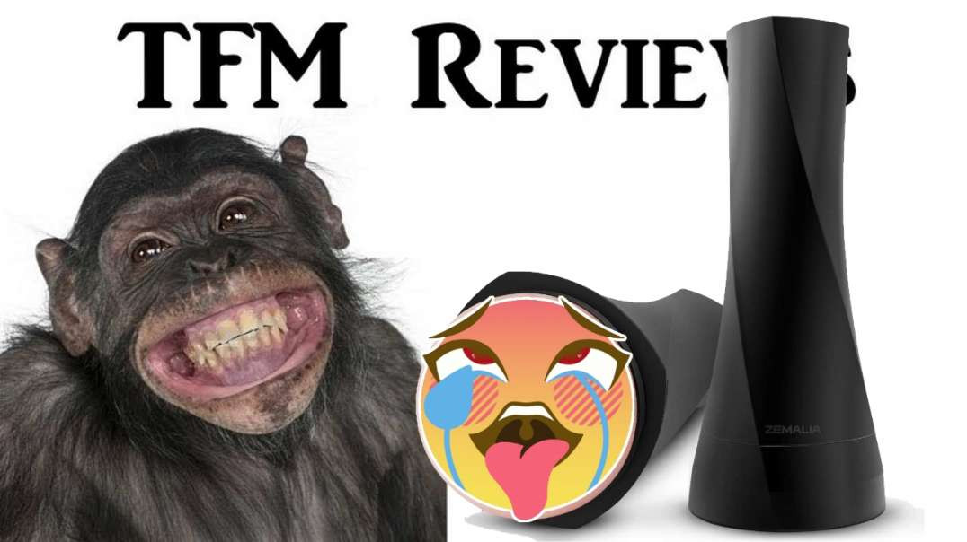 Sex Toy Review: Zemalia Donkey Dick Flesh Light Masterbato (Sponsored)