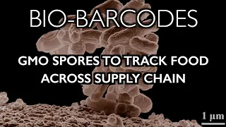 Bio-Barcodes_ GMO Spores Hidden in Food to Track Supply Chain