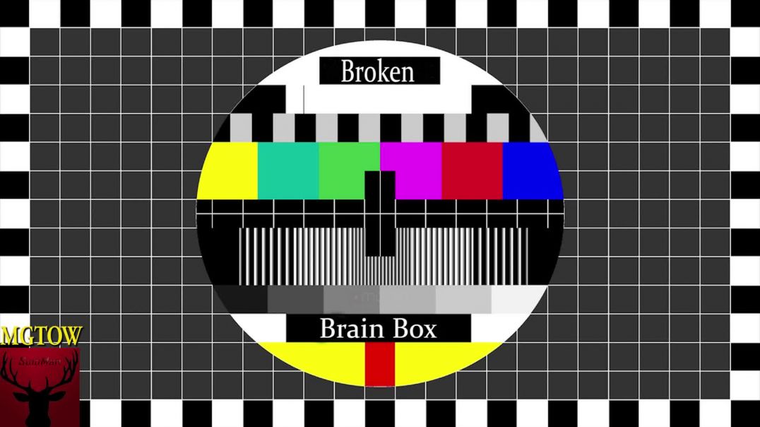 Broken Brain Box