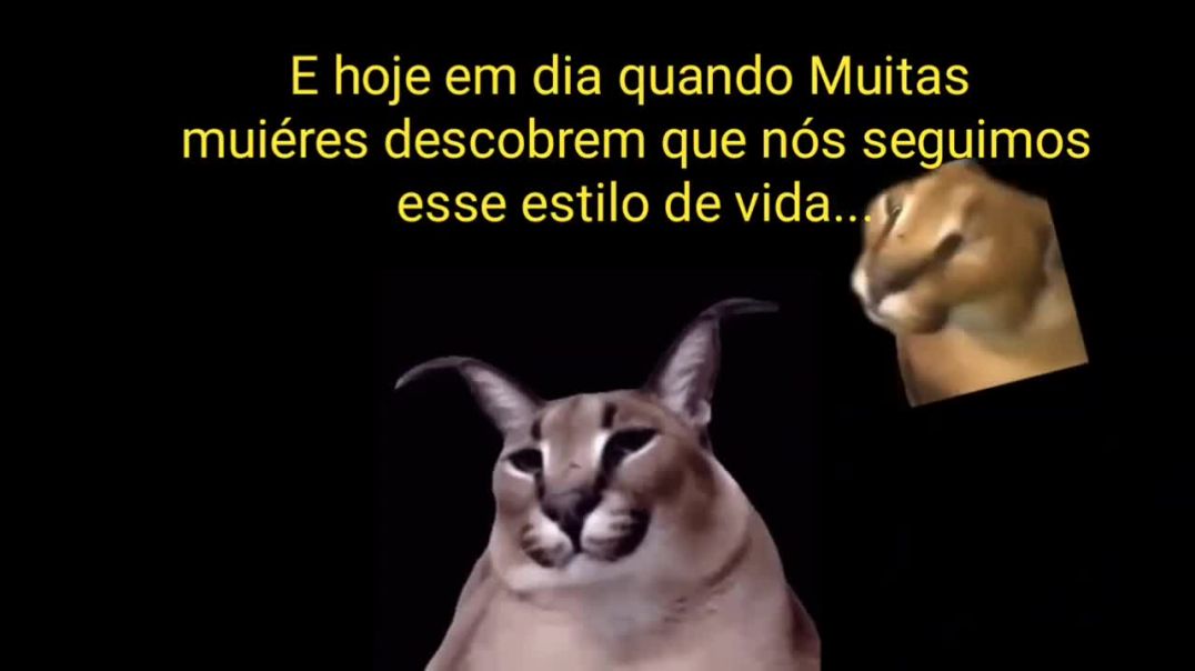 Redpillado Felino mandando uma Red Pill