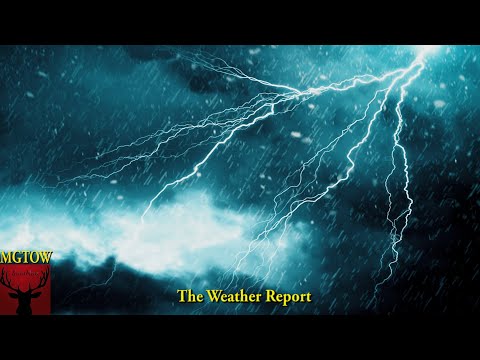 The Weather Report