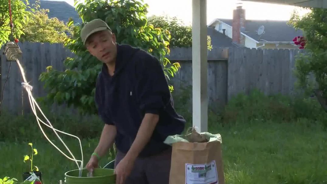 How to make Boogie Brew Compost Tea