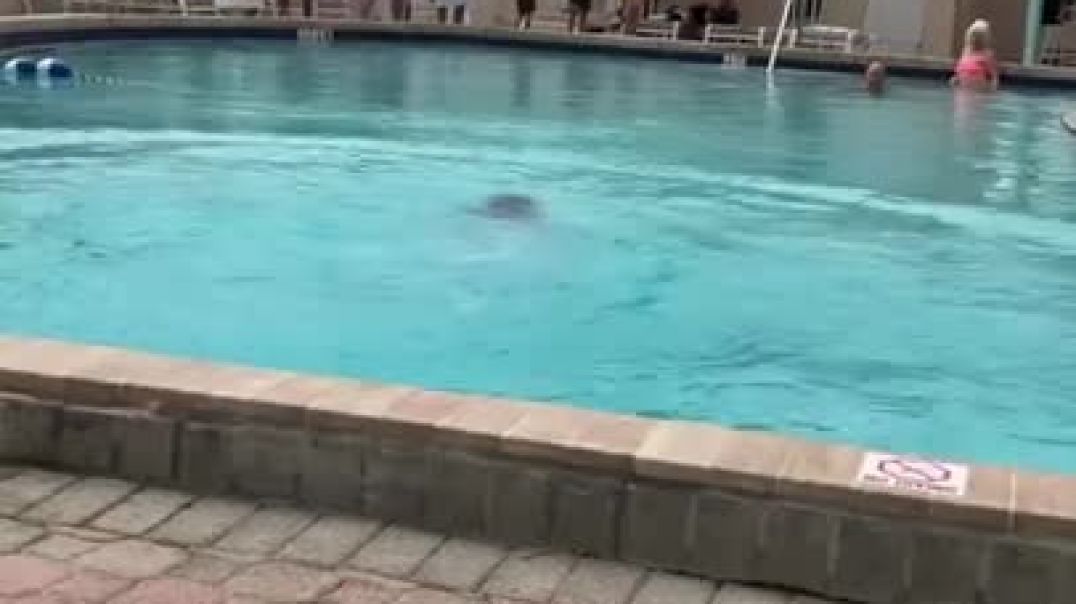 Crazy lady at the pool