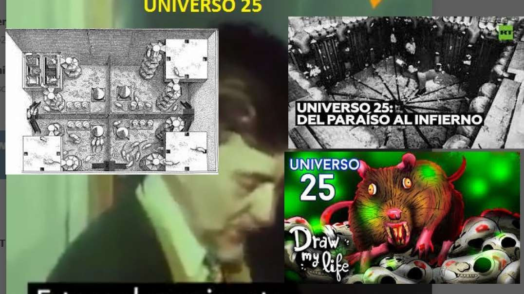 Universo 25 mgtow 3.0  Videos Mgtow de la epoca dorada