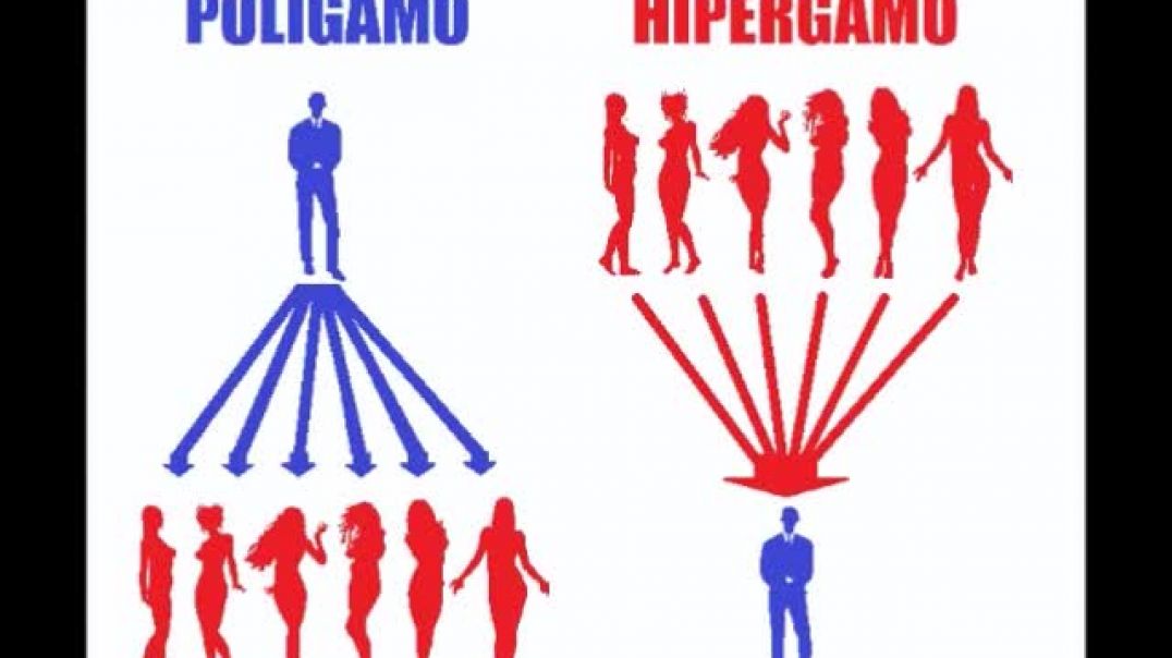 Sigma mgtow Top 5 diferencias entre hombres y mujeres matematicas de las relaciones de pareja mgtow 3.0 en español