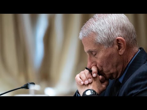 Fauci defended by Biden administration even as his ‘cover-up unravels’