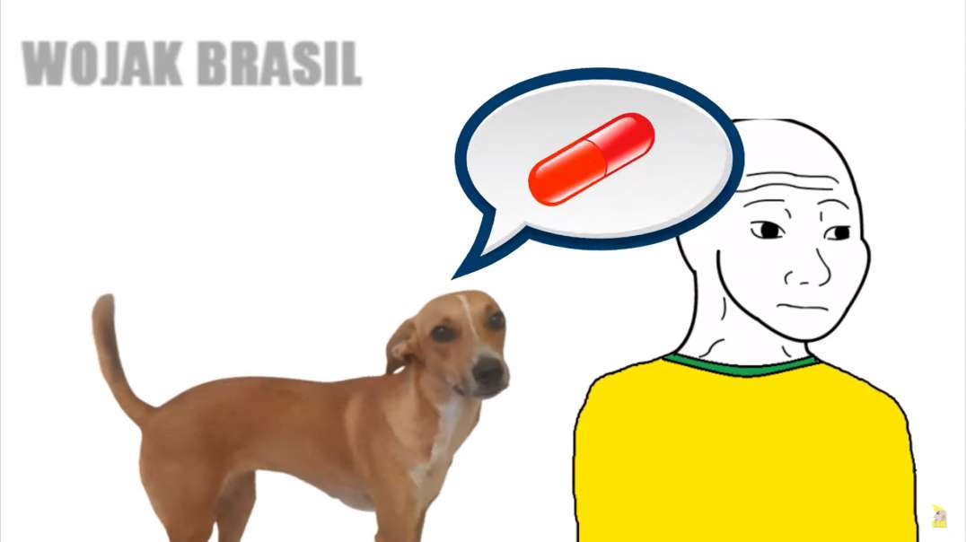 WOJAK - ESTILO CACHORRO - RACIONAIS MC'S