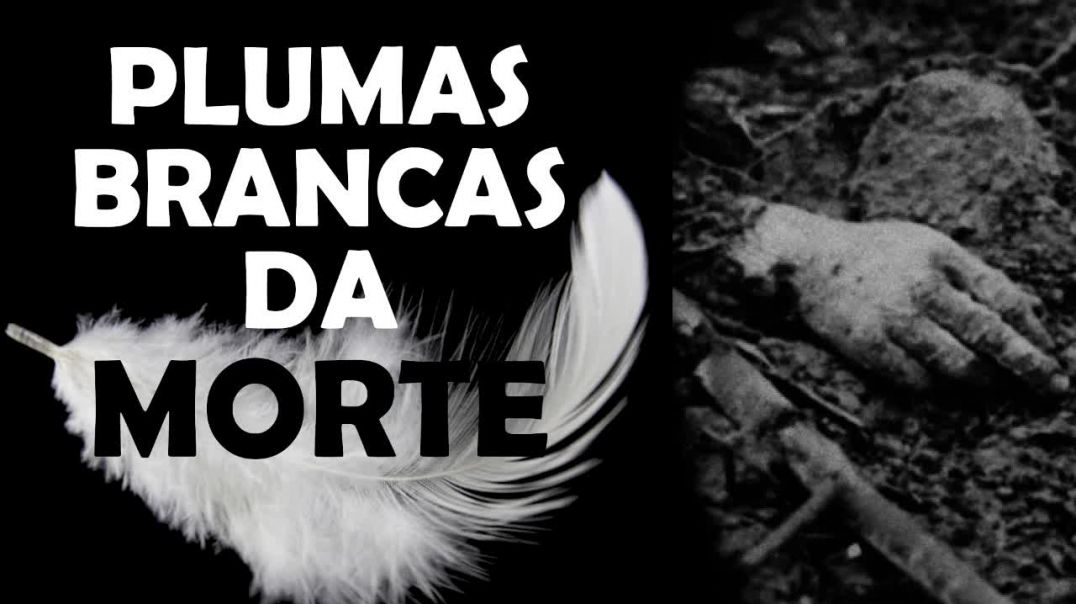 PLUMA BRANCA: QUANDO AS MULHERES ENVIARAM OS HOMENS PARA MORTE