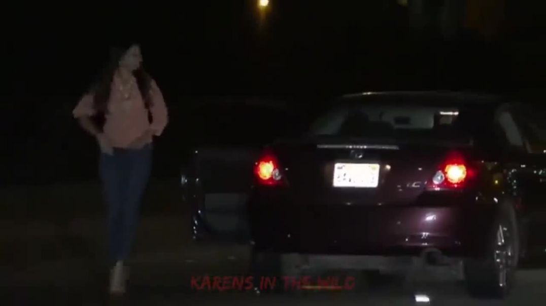 Dumb Death Wish Karen Stops Her Car In The Middle Of Highway To Pee