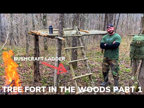 Building a Tree Fort In The Woods Part 1 and Grilled Cheese, Turkey and Ham with Tomato Onion Soup